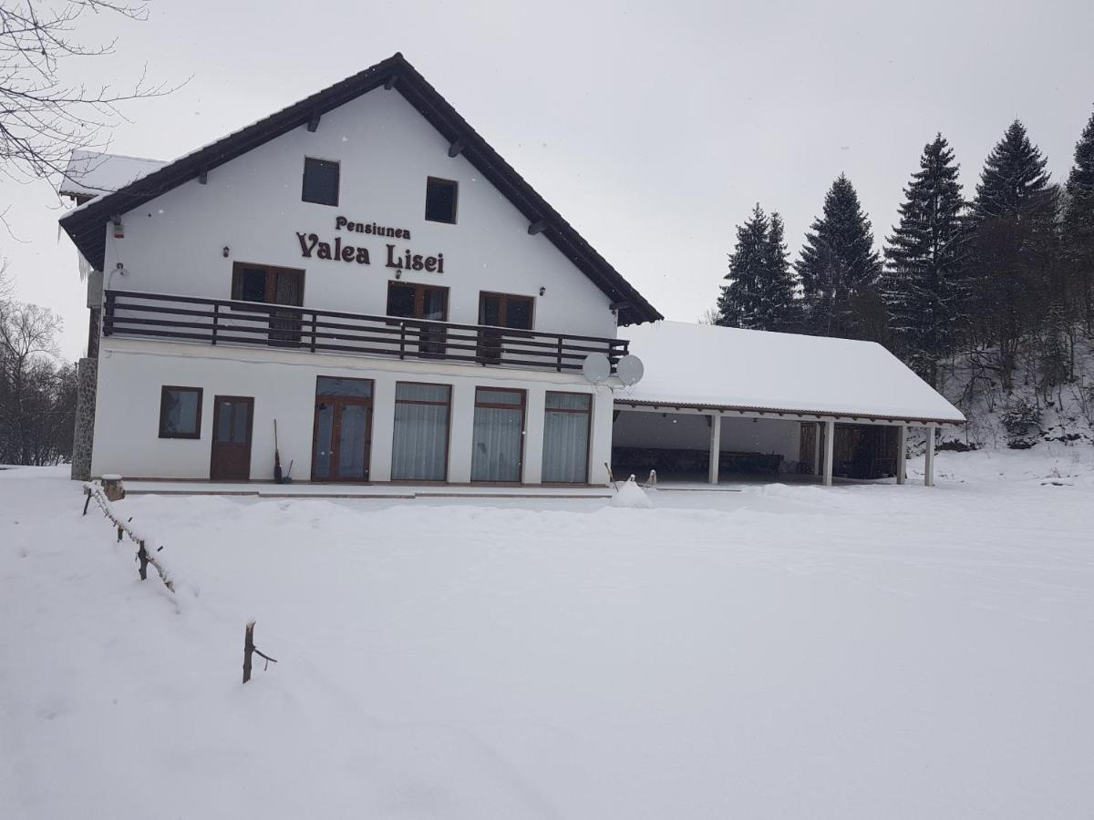 Pensiunea Valea Lisei Lisa Exteriér fotografie