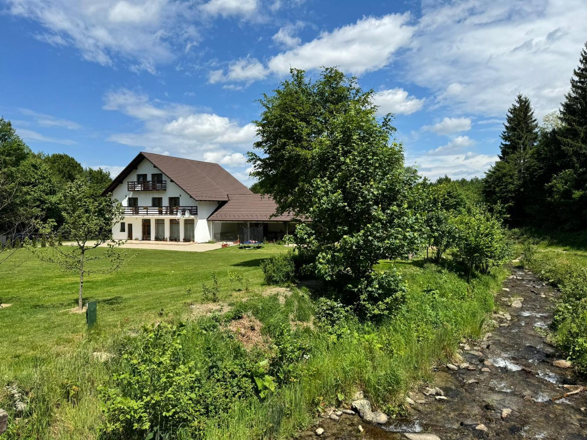 Pensiunea Valea Lisei Lisa Exteriér fotografie