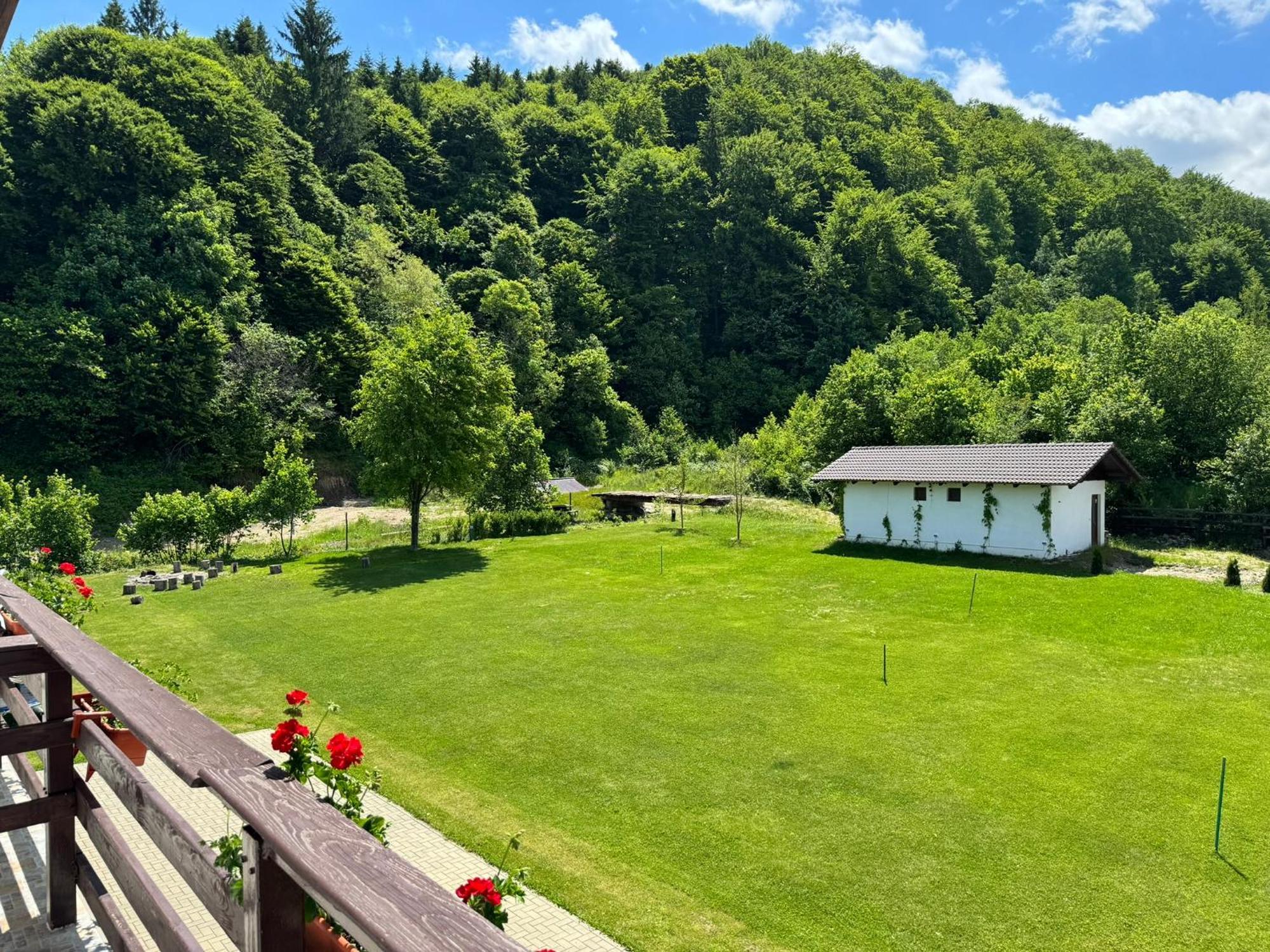 Pensiunea Valea Lisei Lisa Exteriér fotografie